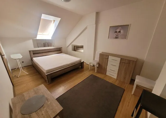 Apartments Zizkov B